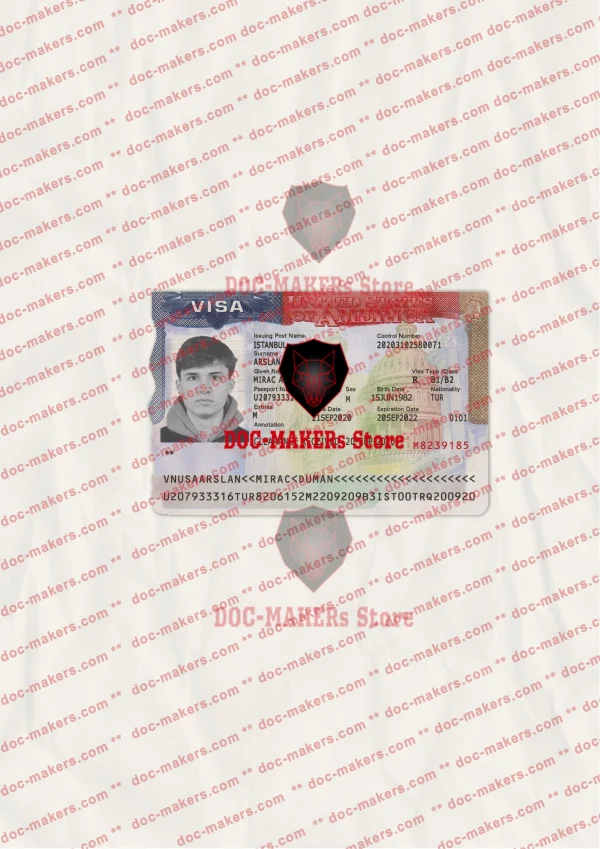 USA Visa Sticker + Photo Look – PSD Template